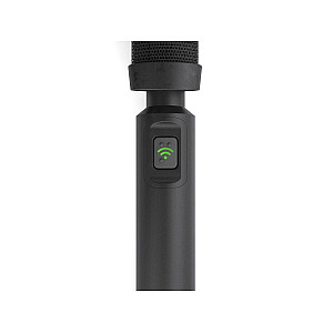 Beyerdynamic Classis RM 31 RC Vertical Array-Microphone with Revoluto Technology